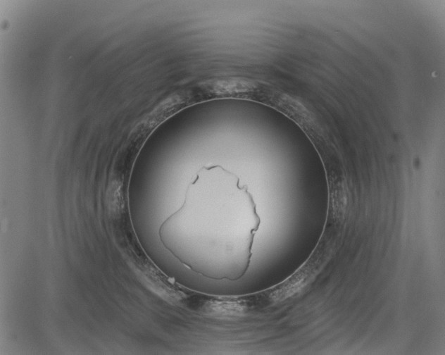 X0000085040327200703121440