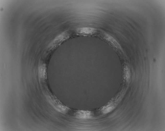 X0000085040328200703121440