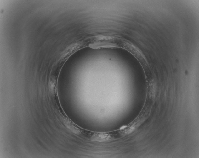 X0000085040329200703121440