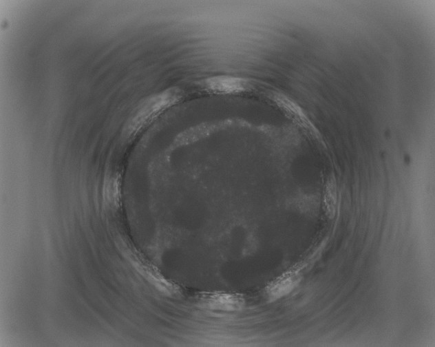 X0000085040330200703121440