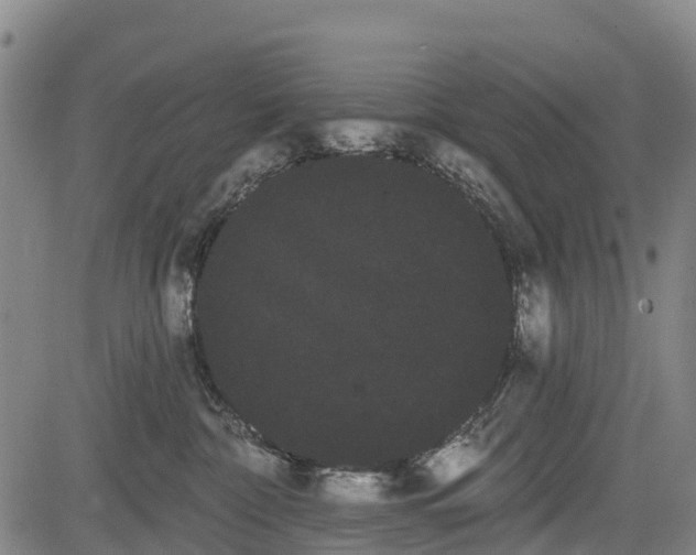 X0000085040332200703121440