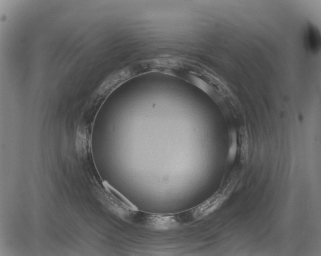 X0000085040333200703121440