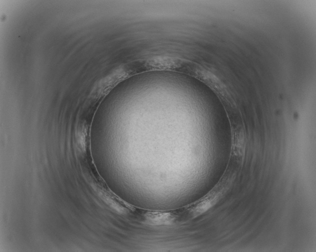 X0000085040334200703121440