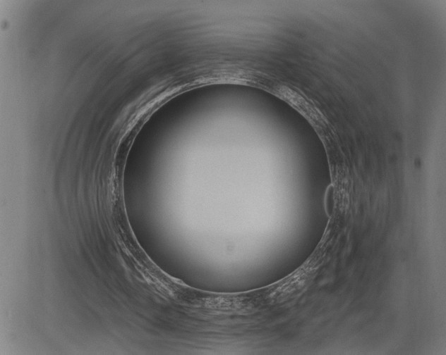 X0000085040338200703121439