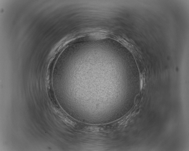 X0000085040339200703121439