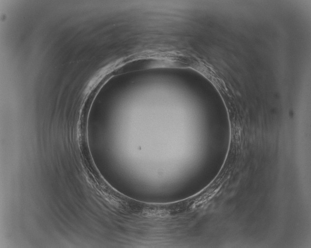 X0000085040340200703121439