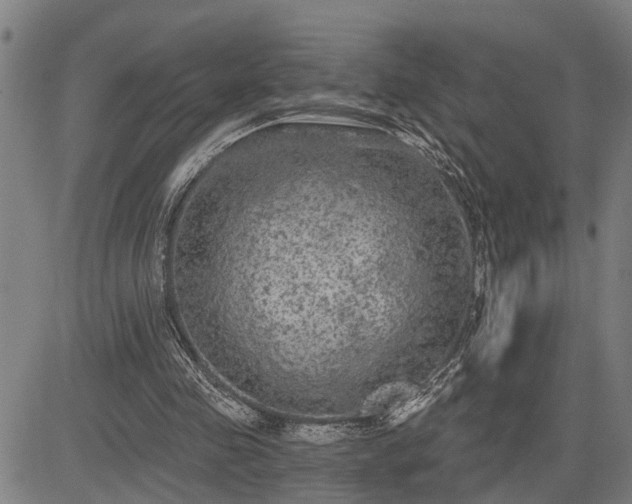 X0000085040341200703121439