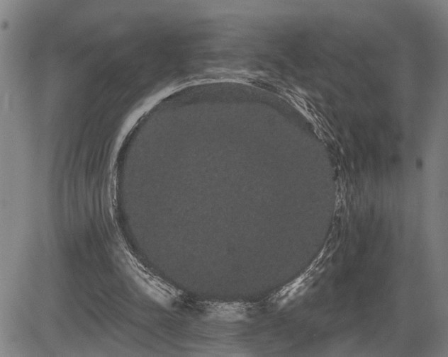 X0000085040342200703121439