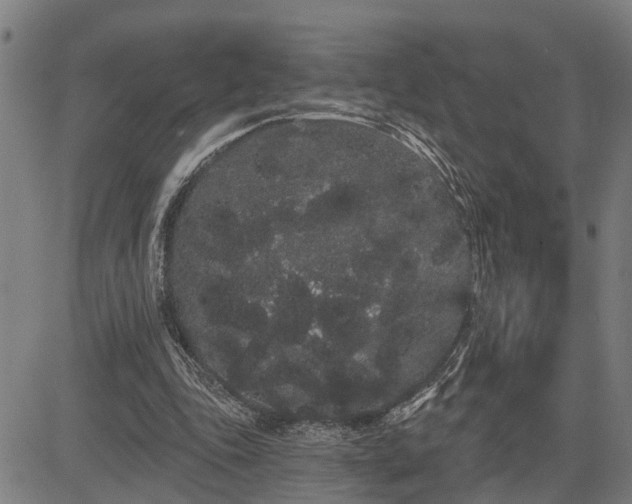 X0000085040343200703121439