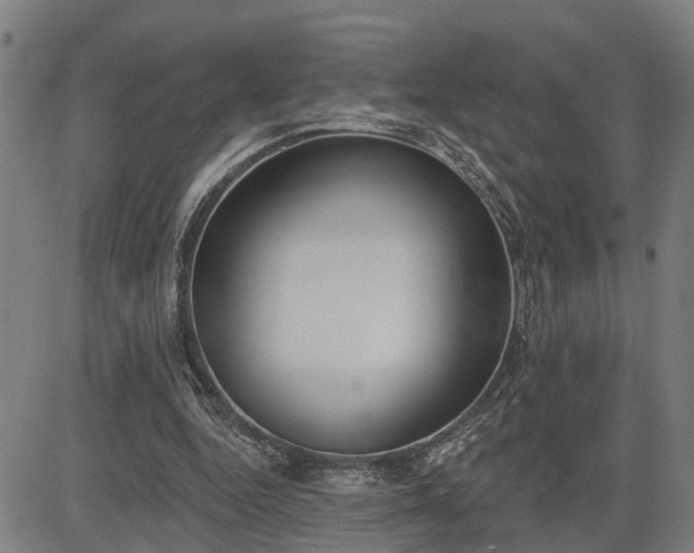 X0000085040344200703121439