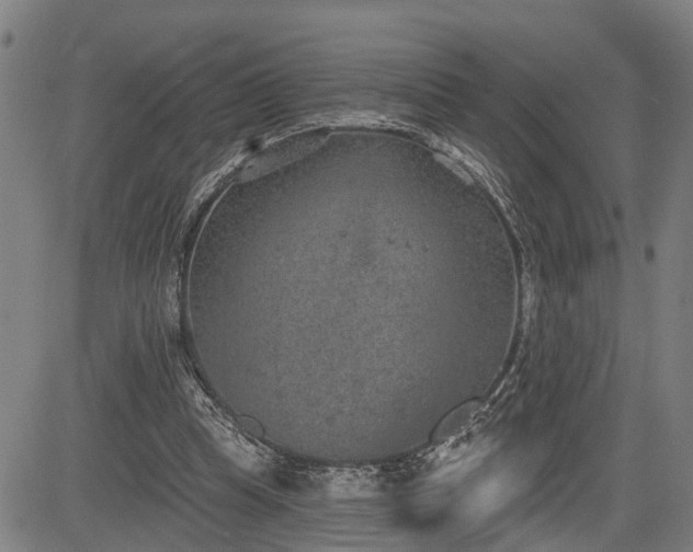 X0000085040345200703121439