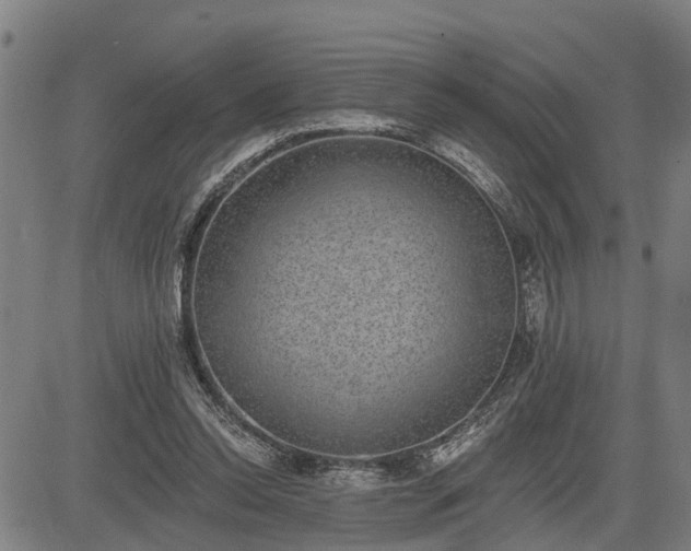 X0000085040350200703121439