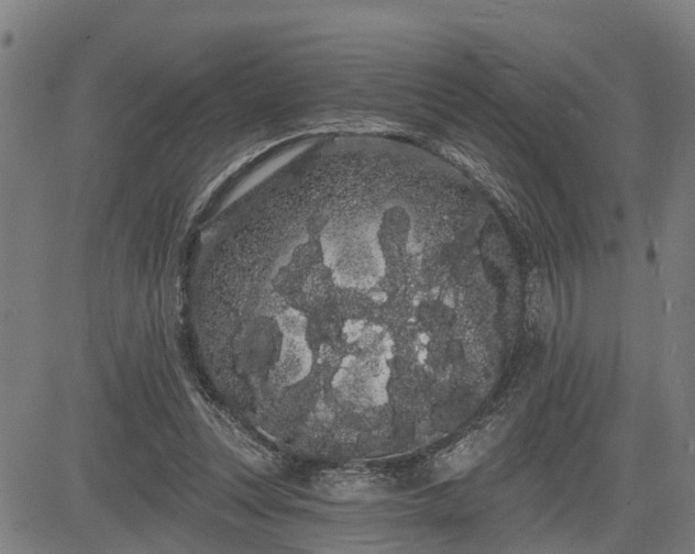 X0000085040351200703121439