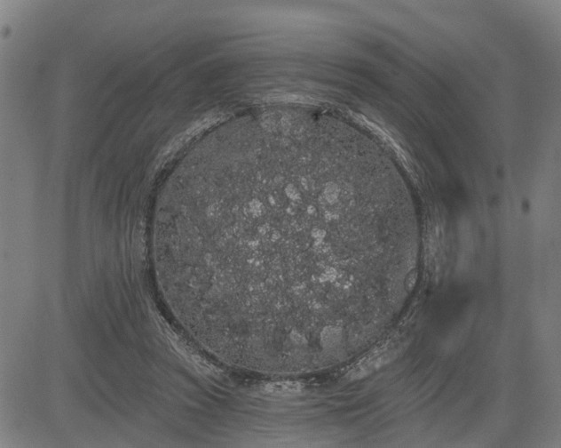 X0000085040353200703121439