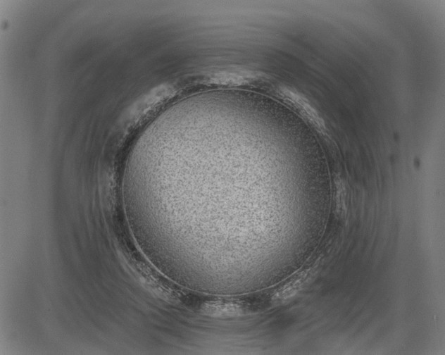 X0000085040354200703121439