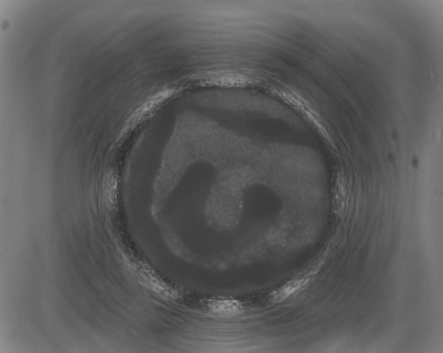 X0000085040355200703121439