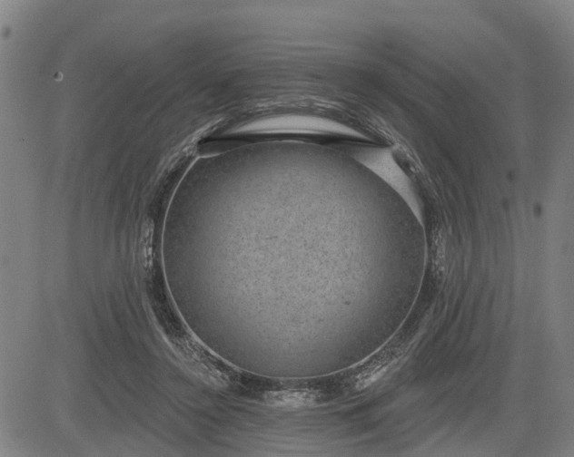 X0000085040356200703121439