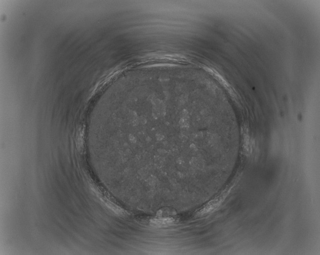 X0000085040357200703121439