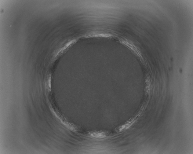 X0000085040358200703121439