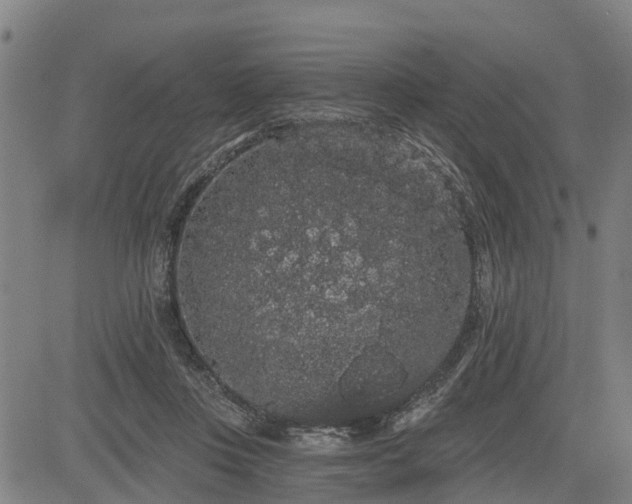 X0000085040359200703121439