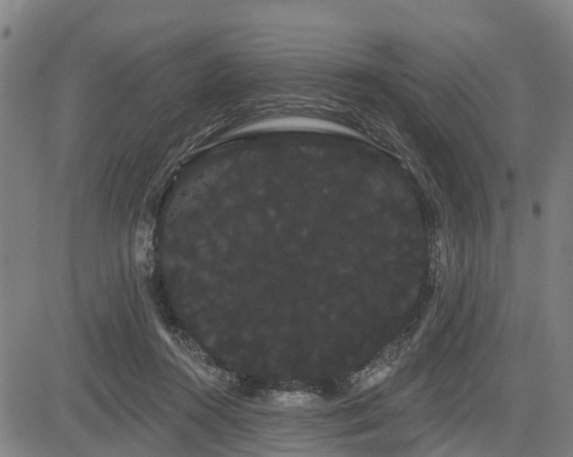 X0000085040360200703121439