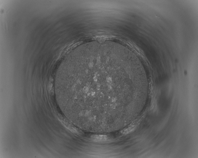 X0000085040361200703121439