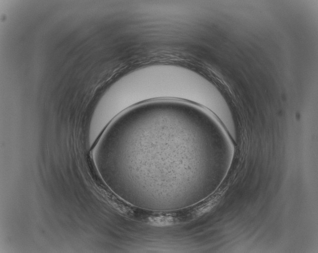 X0000085040362200703121439