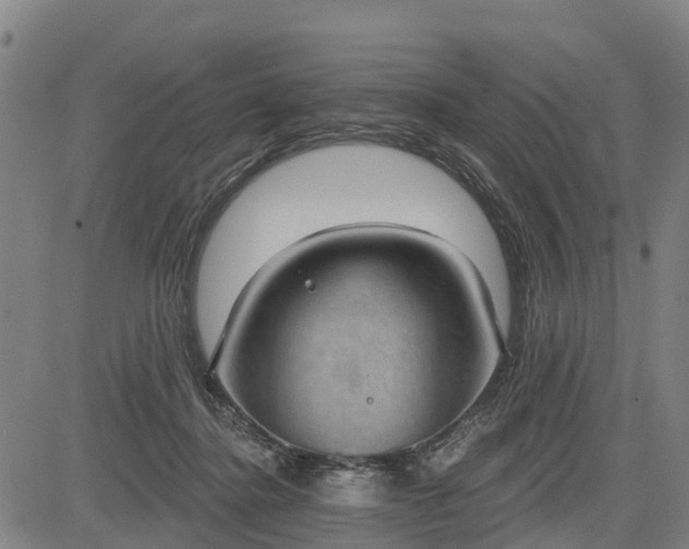 X0000085040364200703121439