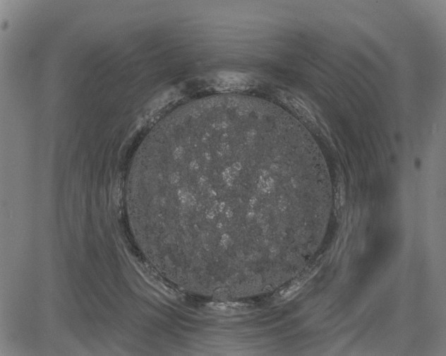 X0000085040367200703121439