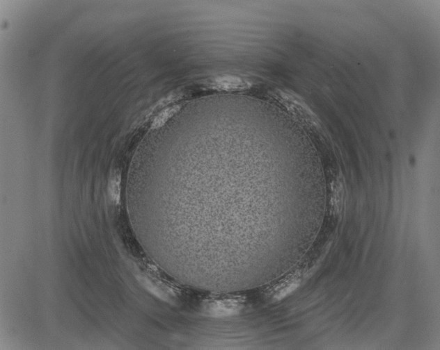 X0000085040368200703121439