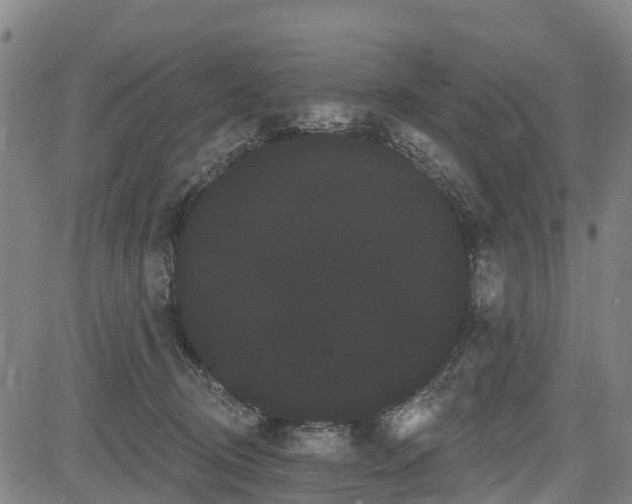 X0000085040370200703121439