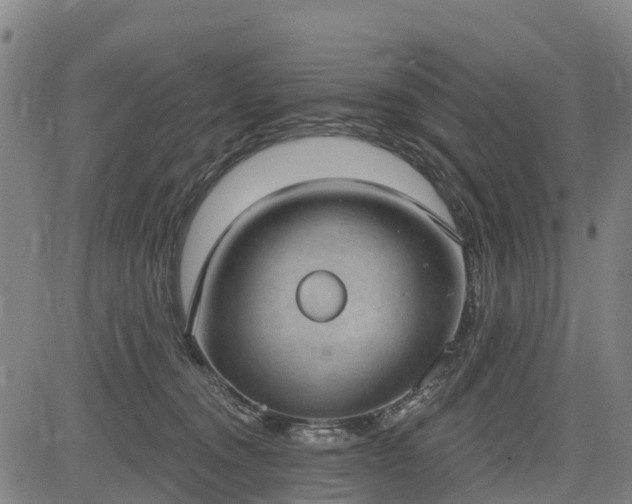 X0000085040372200703121439