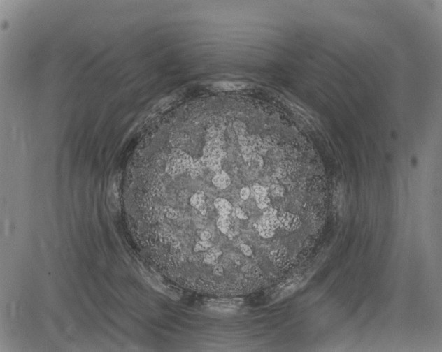 X0000085040373200703121439