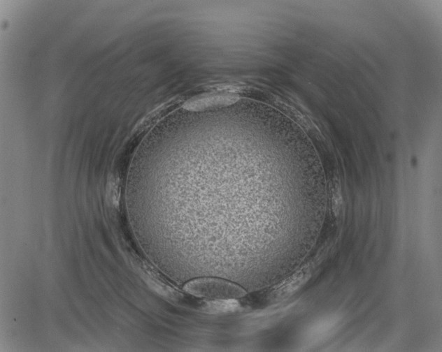 X0000085040374200703121440