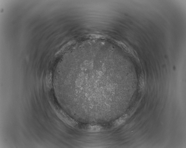 X0000085040376200703121440