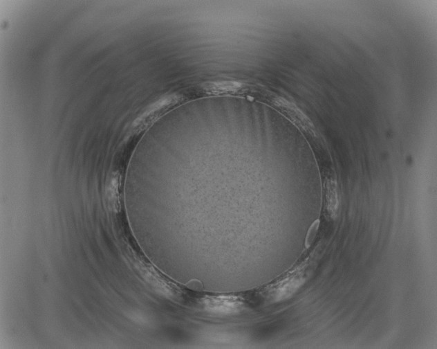 X0000085040378200703121440