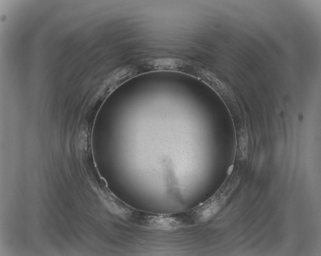 X0000085040379200703121440