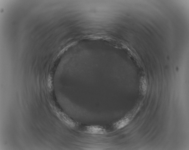 X0000085040380200703121440