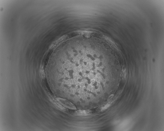 X0000085040381200703121440