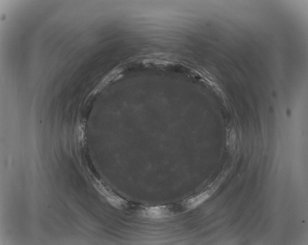 X0000085040382200703121440