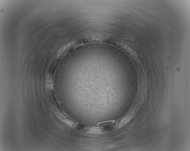 X0000085040384200703121440