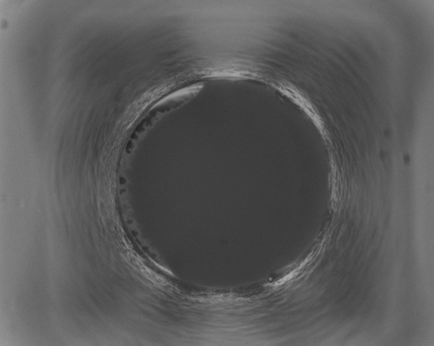 X0000085040385200703121439