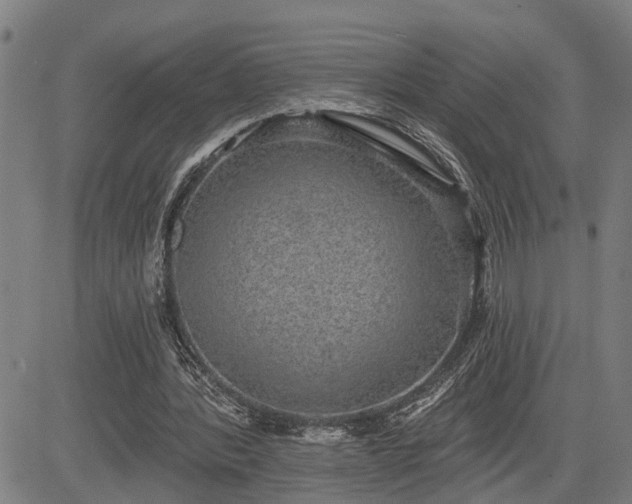 X0000085040388200703121439