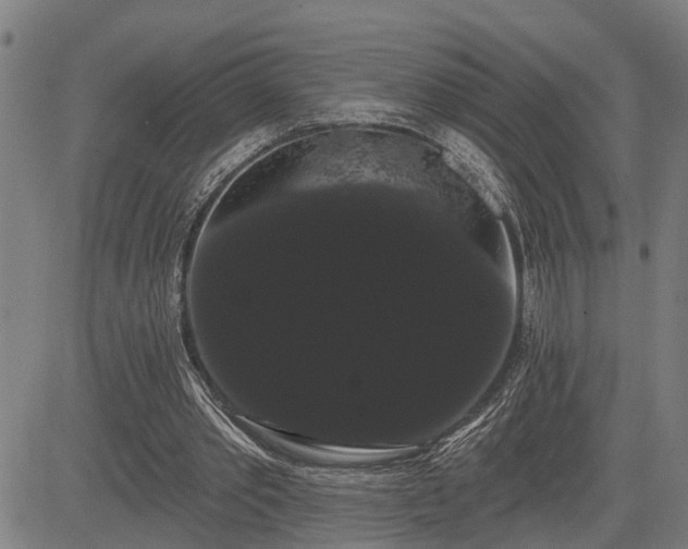 X0000085040389200703121439