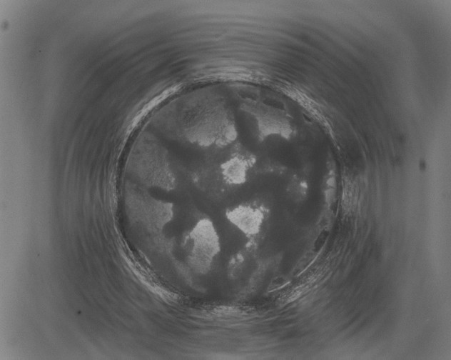 X0000085040390200703121439