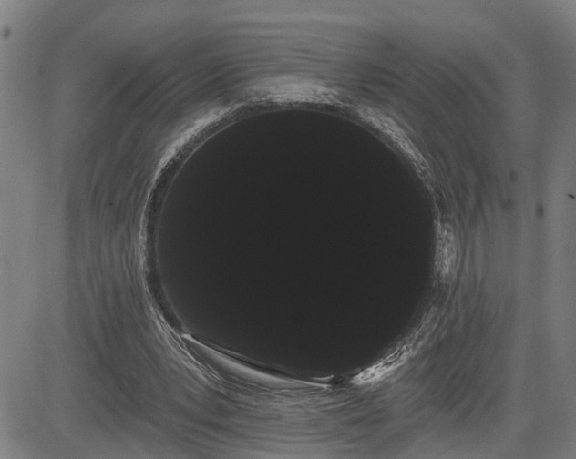 X0000085040391200703121439