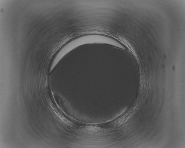 X0000085040393200703121439