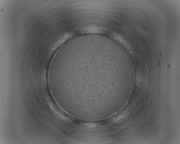 X0000085040394200703121439