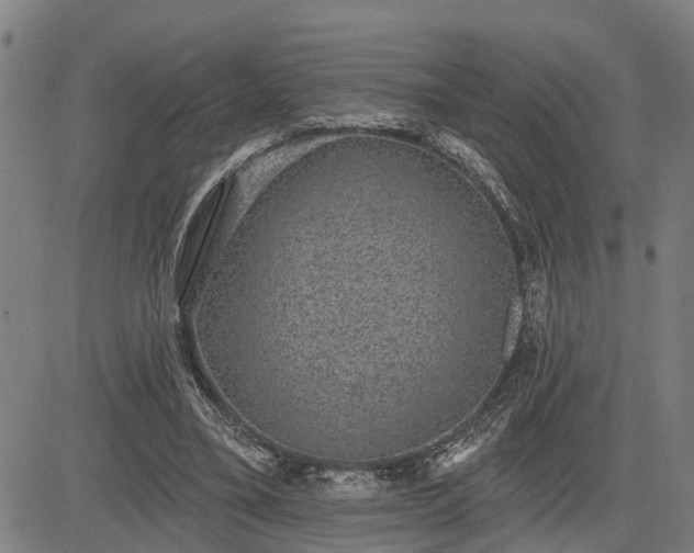 X0000085040395200703121439