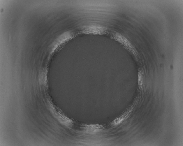 X0000085040396200703121439